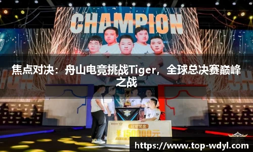 焦点对决：舟山电竞挑战Tiger，全球总决赛巅峰之战